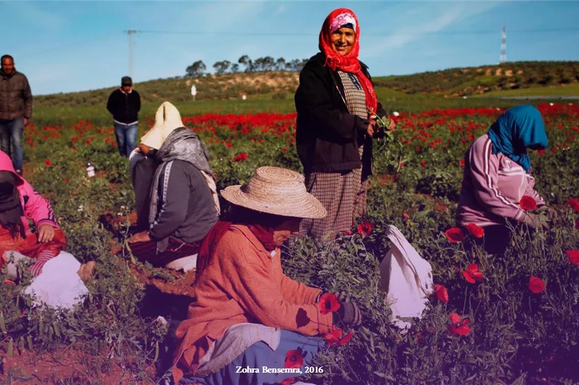 Photos belog to Tunis Elfatat Association https://tounesaf.org/?p=28185